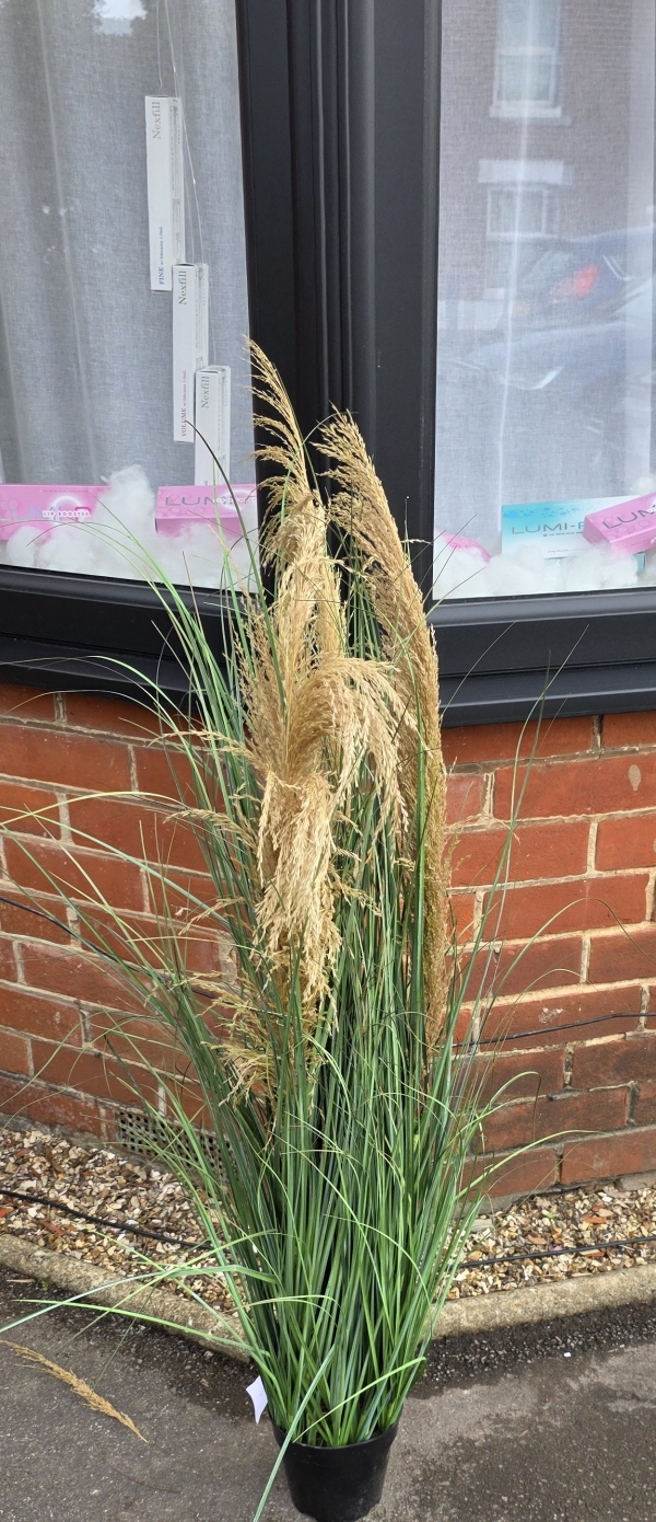 Pampas plant faux