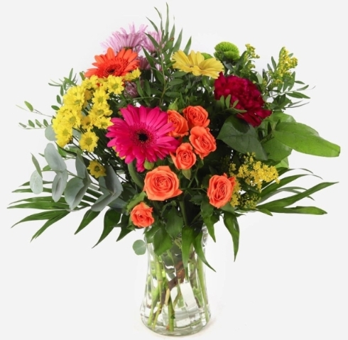 A Little Ray of Sunshine